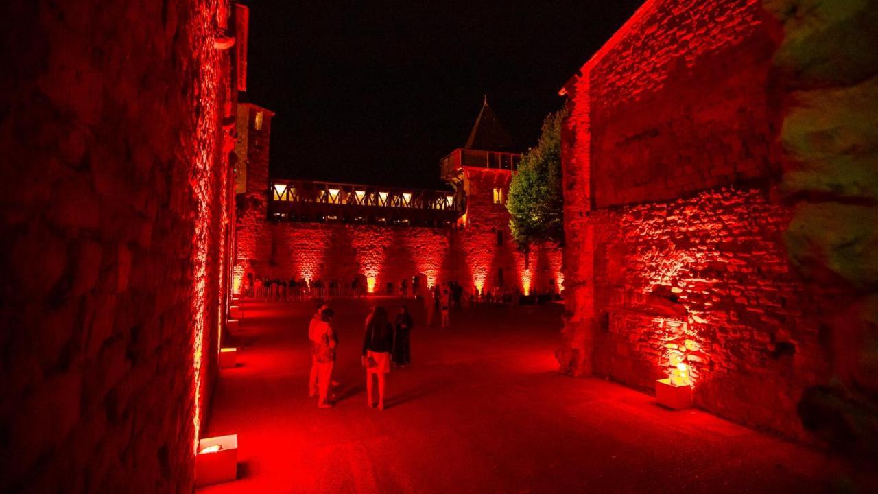 Tout Confort ! Calme, Climatisation, Piscine, Parking Gratuit, Grande Terrasse, Netflix, Wifi Каркассон Экстерьер фото